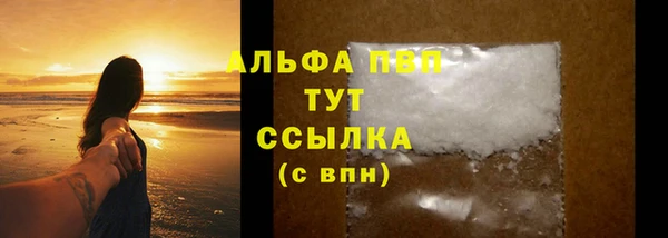 прущие крисы Белокуриха