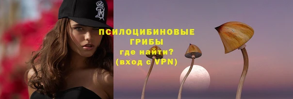 прущие крисы Белокуриха