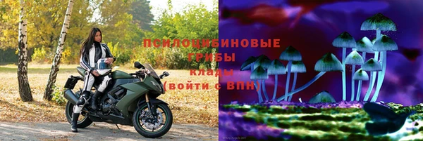 прущие крисы Белокуриха