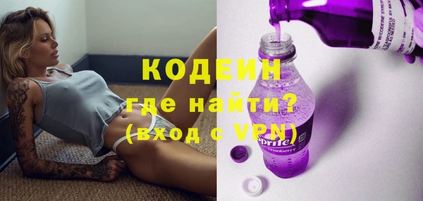шишки Богородицк
