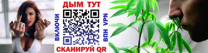 купить наркотики сайты  гидра зеркало  Бошки марихуана ГИДРОПОН  Верхний Уфалей 